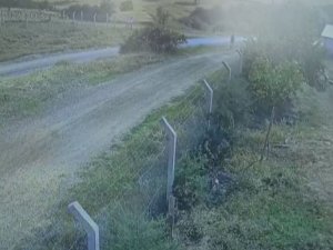 Kaçan kurbanlığın peşinden giden tıp öğrencisinin son görüntüleri ortaya çıktı