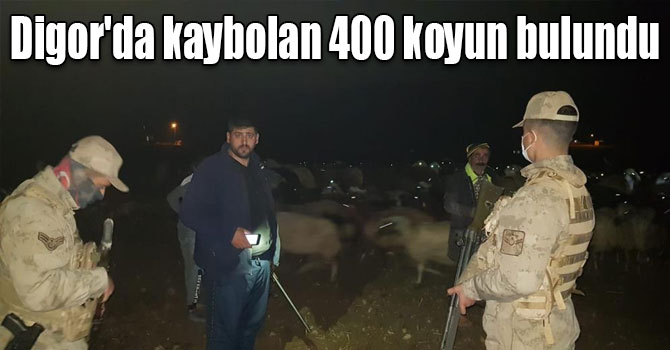 Digor'da kaybolan 400 koyun bulundu