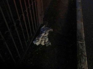Vicdansızlığın böylesi; Çaptığı genç kızı yağışın altında ölüme terk etti, suçu çalışanına yıktı