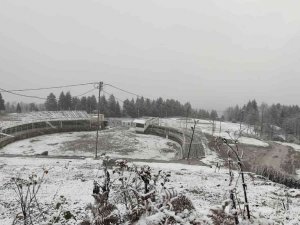 Artvin il merkezinin yüksek kesimlerine kar yağdı