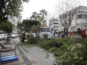 Büyükşehir, fırtına sebebiyle kent genelinde teyakkuza geçti