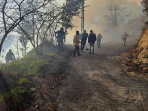 Trabzon’un Sürmene ilçesinde bahçe temizliği orman yangınına neden oldu
