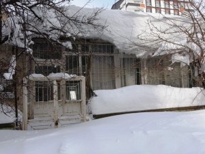 Bitlis’te tek katlı evler ve yön levhaları kardan kayboldu
