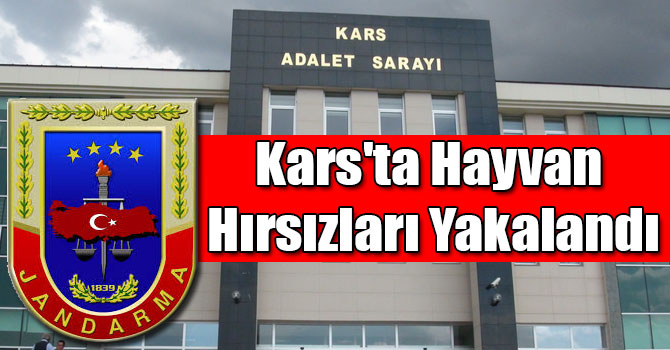 Kars'ta Hayvan Hırsızları Yakalandı