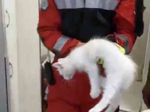 Havalandırma boşluğuna düşen kediyi itfaiye kurtardı