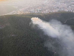 İzmir’de ormanlık alanda çıkan yangın söndürüldü