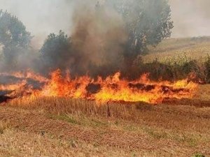 Yalova Altınova itfaiyesinden orman ve anız yangını uyarısı