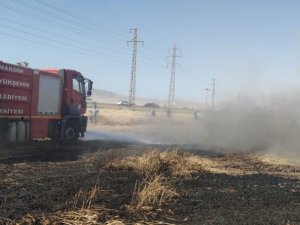 Mardin’de buğday ekili arazide yangın, 55 dönüm kül oldu