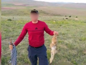 Vurdukları tavşanı köpeklere parçalattırıp sosyal medyada paylaştılar