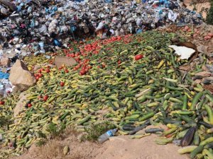 Antalya’da çöpe dökülen sebze açıklaması: "İnsan sağlığını tehdit eden ürünler"