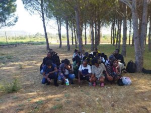 Fethiye’de 125 düzensiz göçmen yakalandı, 4 şüpheli gözaltına alındı