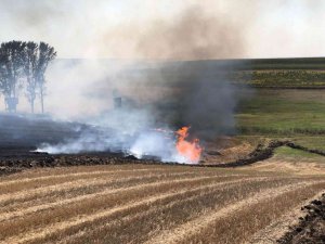 Kırklareli’nde anız yangını: 132 dönüm tarım arazisi zarar gördü