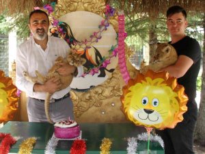 Ankara’nın aslanlarına 10 Ağustos Aslanlar Günü’nde pastalı kutlama