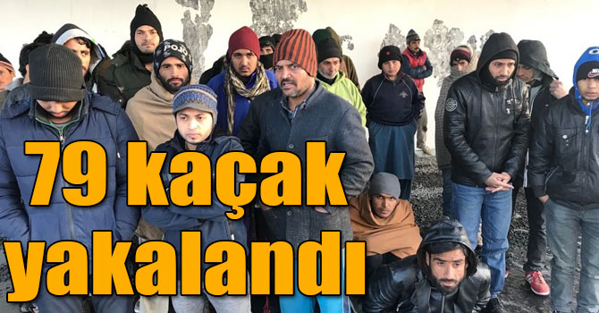 Ardahan-Kars karayolunda 79 kaçak yakalandı