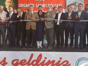 Erciş Organize Sanayi Bölgesi’nin açılışı yapıldı