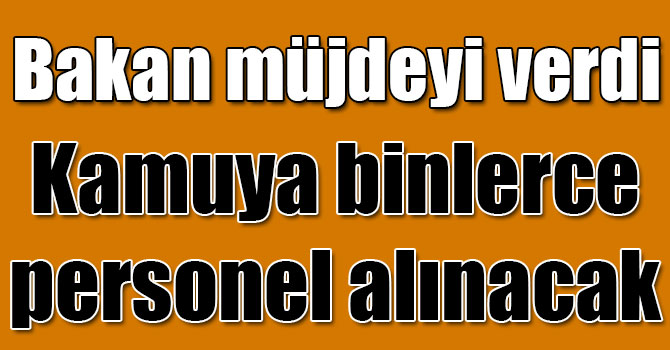 Son çeyrekte kamuda 2 bin 500 engellinin ataması yapılacak