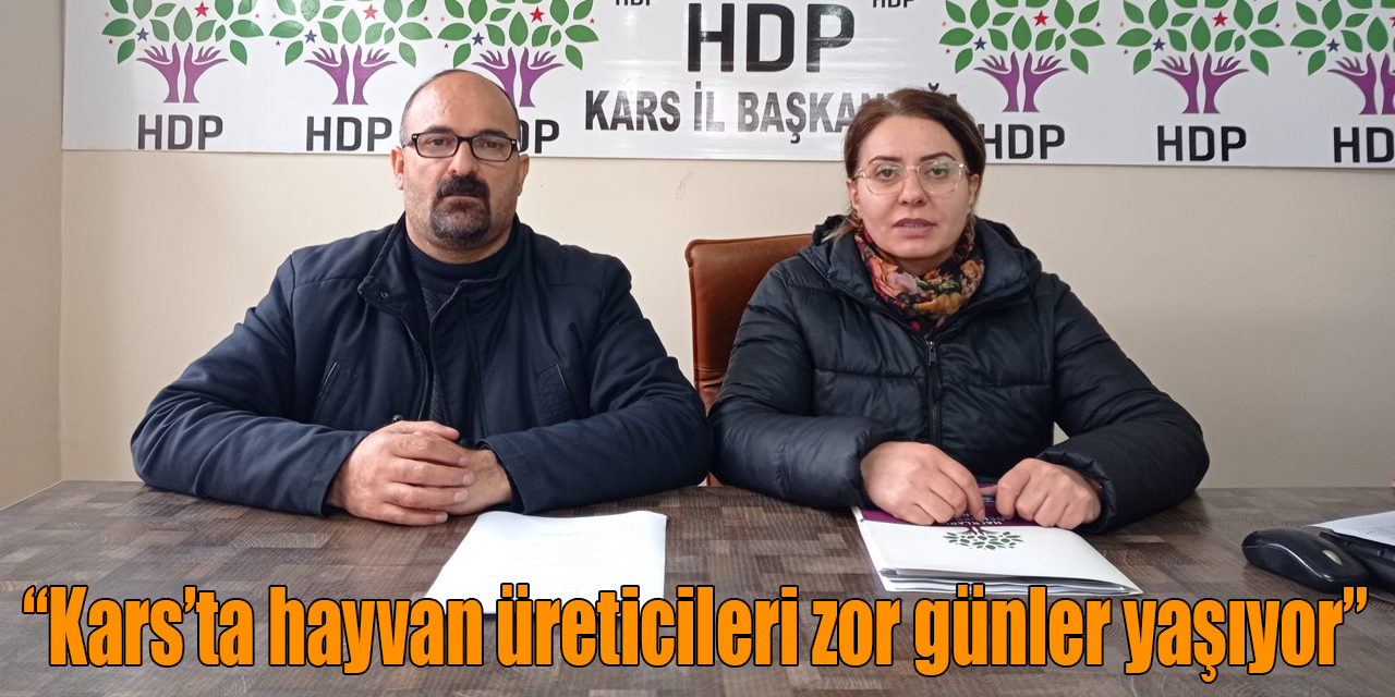 Karsta hayvan üreticileri zor günler yaşıyor