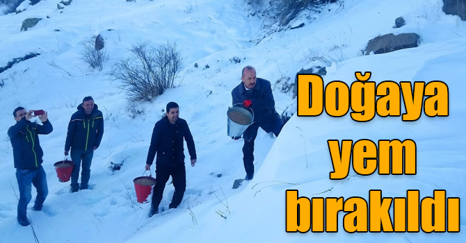 Kars’ta yaban hayvanları için doğaya yem bırakıldı