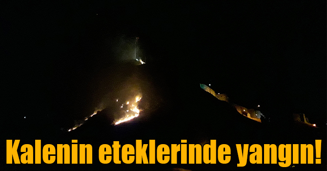 Kars Kalesi eteğindeki yangın korkuttu