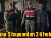 Kars’ta çalınan 5 hayvandan 3’ü bulundu