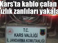 Kars'ta kablo çalan hırsızlık zanlıları yakalandı