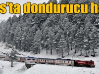 Kars'ta dondurucu hava