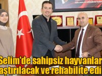 Selim'de sahipsiz hayvanlar kısırlaştırılacak ve rehabilite edilecek