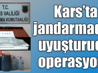 Kars’ta jandarmadan uyuşturucu operasyonu