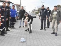 Köyceğiz’de kaybolan İngiliz aranıyor