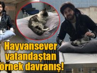 Hayvansever vatandaştan örnek davranış!