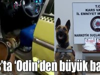 15 bin kişiyi zehirleyecek uyuşturucuları narkotik köpeği 'Odin' buldu