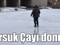 Kars'ta, bazı göletler, dereler ile sulak alanlar dondu