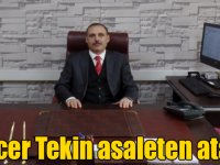 Tuncer Tekin asaleten atandı