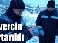 Ayağı tele takılan güvercin kurtarıldı
