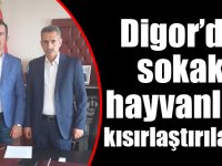 Digor’da sokak hayvanları kısırlaştırılacak