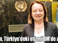 Aylin Sezgin, Türkiye’deki otizmi BM’de anlattı