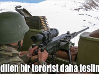 İkna edilen bir terörist daha teslim oldu