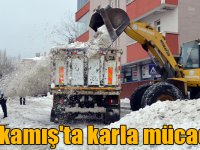 Sarıkamış'ta karla mücadele