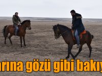 Yarışlara hazırlandığı rahvan atlarına gözü gibi bakıyor