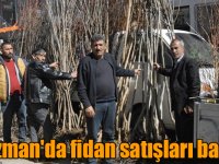 Kağızman'da uzun elmanın fidan satışları başladı