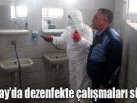 Arpaçay Belediyesi dezenfekte çalışmalarını sürdürüyor