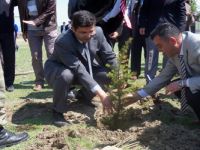 Akyaka’da Fidan Dikimi Yapıldı