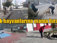 Vali Türker Öksüz’ün talimatıyla sokak hayvanlarına mama bırakıldı