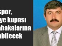 Karsspor, Türkiye kupası müsabakalarına katılabilecek