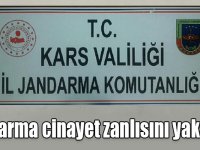 Jandarma cinayet zanlısını yakaladı