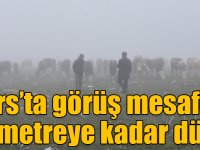 Kars’ta görüş mesafesi 10 metreye kadar düştü