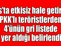 Kars'ta etkisiz hale getirilen PKK'lı teröristlerden 4'ünün gri listede yer aldığı belirlendi