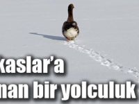 Kafkaslar’a uzanan bir yolculuk