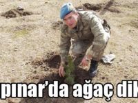 Dağpınar’da ağaç dikimi