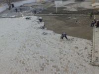 Arslan, Okulunu Unutmadı